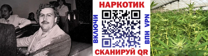 Что такое Казань mega рабочий сайт  Cocaine  Меф  Вейп ТГК  Марихуана  А ПВП  ГАШИШ 