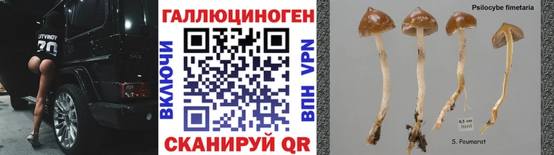 Псилоцибиновые грибы мицелий  закладки  Казань 